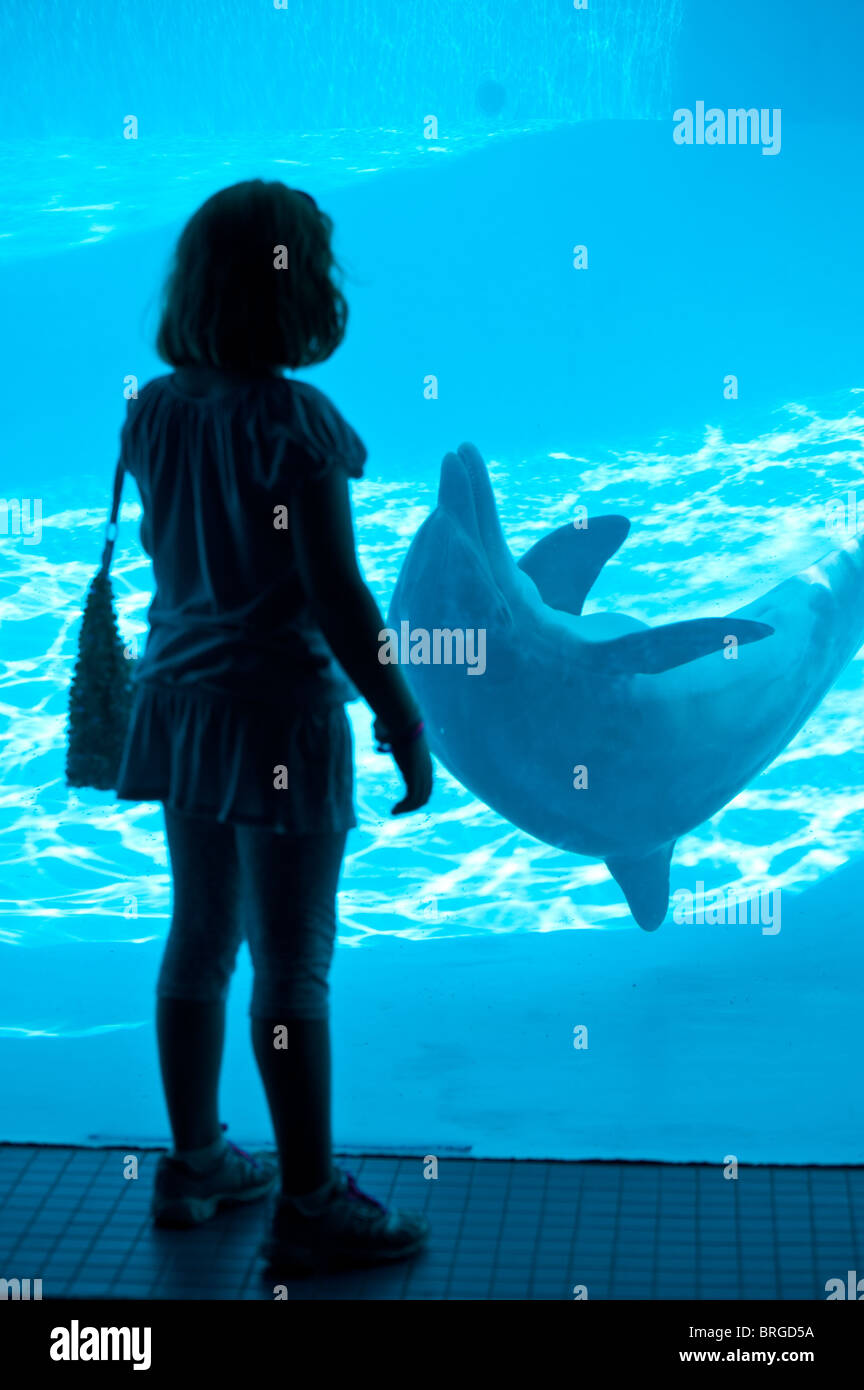 Petite fille de 7 ans regarde les dauphins à la Texas State Aquarium à Corpus Christi, au Texas. Banque D'Images