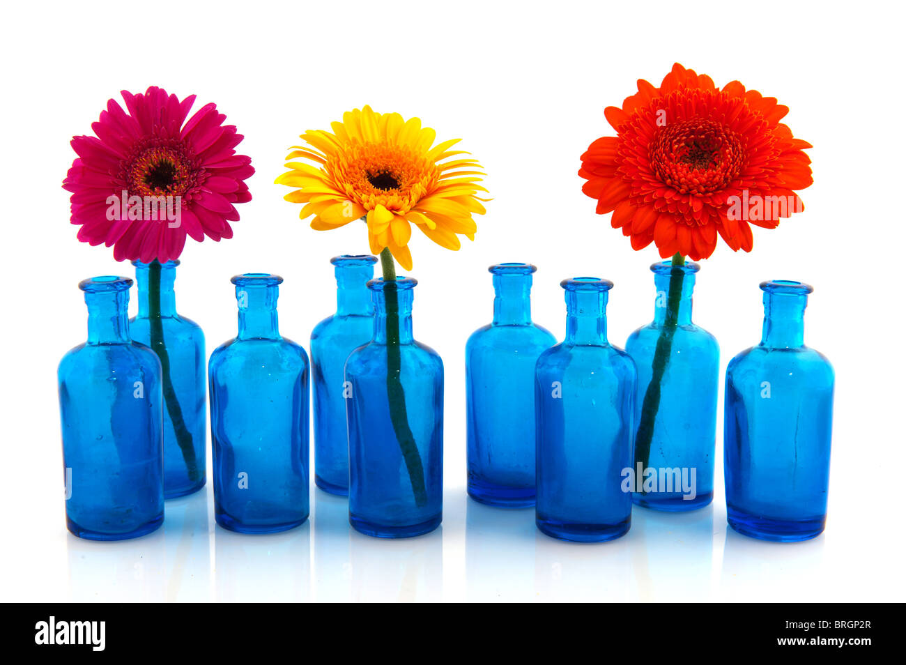 Vases de verre bleu rangée de fleurs colorées isolated over white Banque D'Images