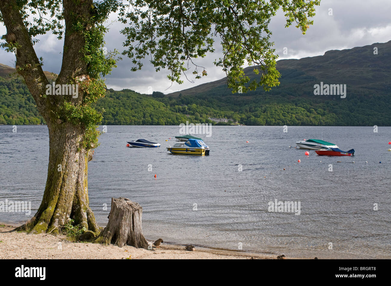 Les bateaux de plaisance amarrés sur le Loch Lomond et les Trossachs National Park. Strathclyde. 6779 SCO Banque D'Images