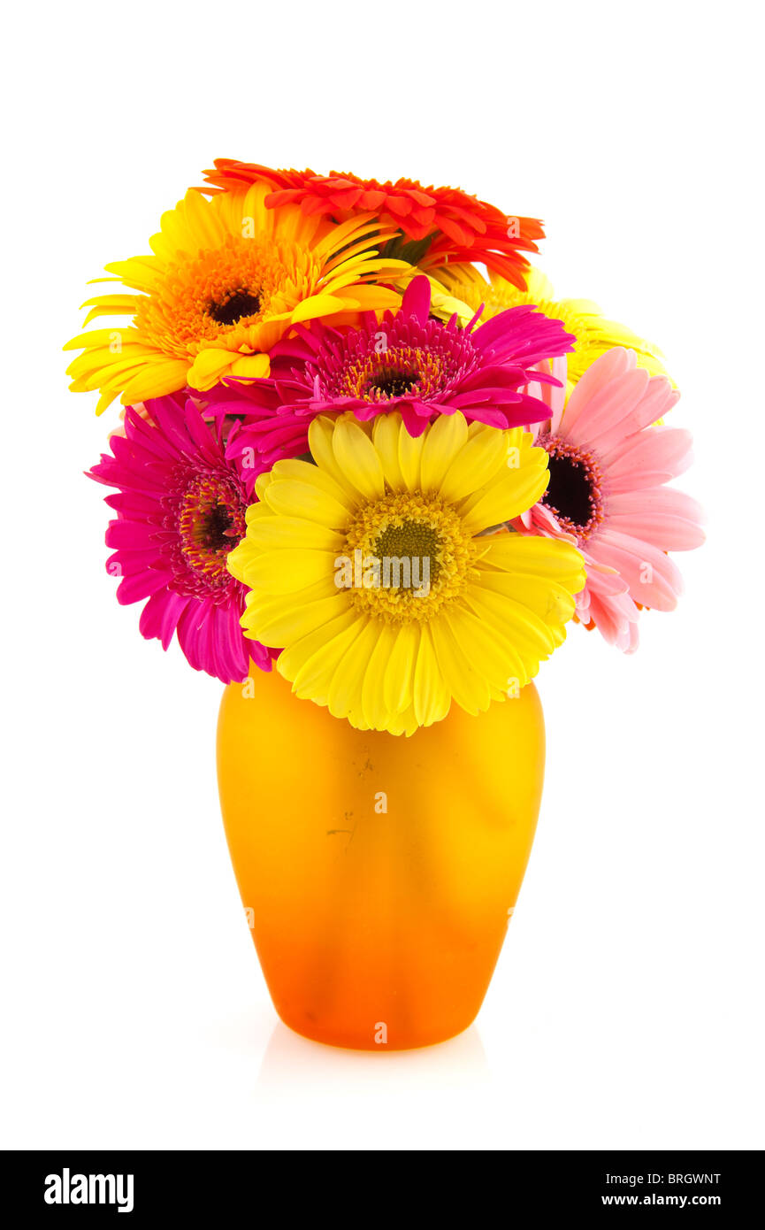 Gerber coloré bouquet vase en verre inorange isolated over white Banque D'Images