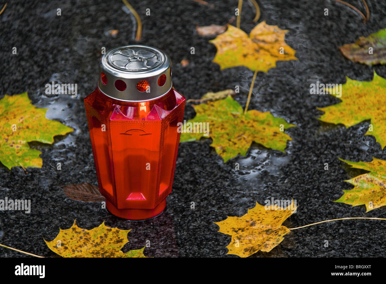 Une tombe la lumière de tous les Saints à l'automne avec des feuilles Banque D'Images