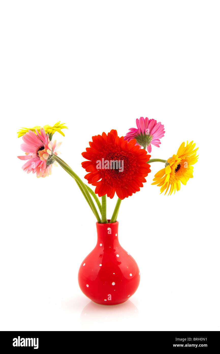 Bouquet de fleurs colorées avec Gerber dans vase rouge Banque D'Images