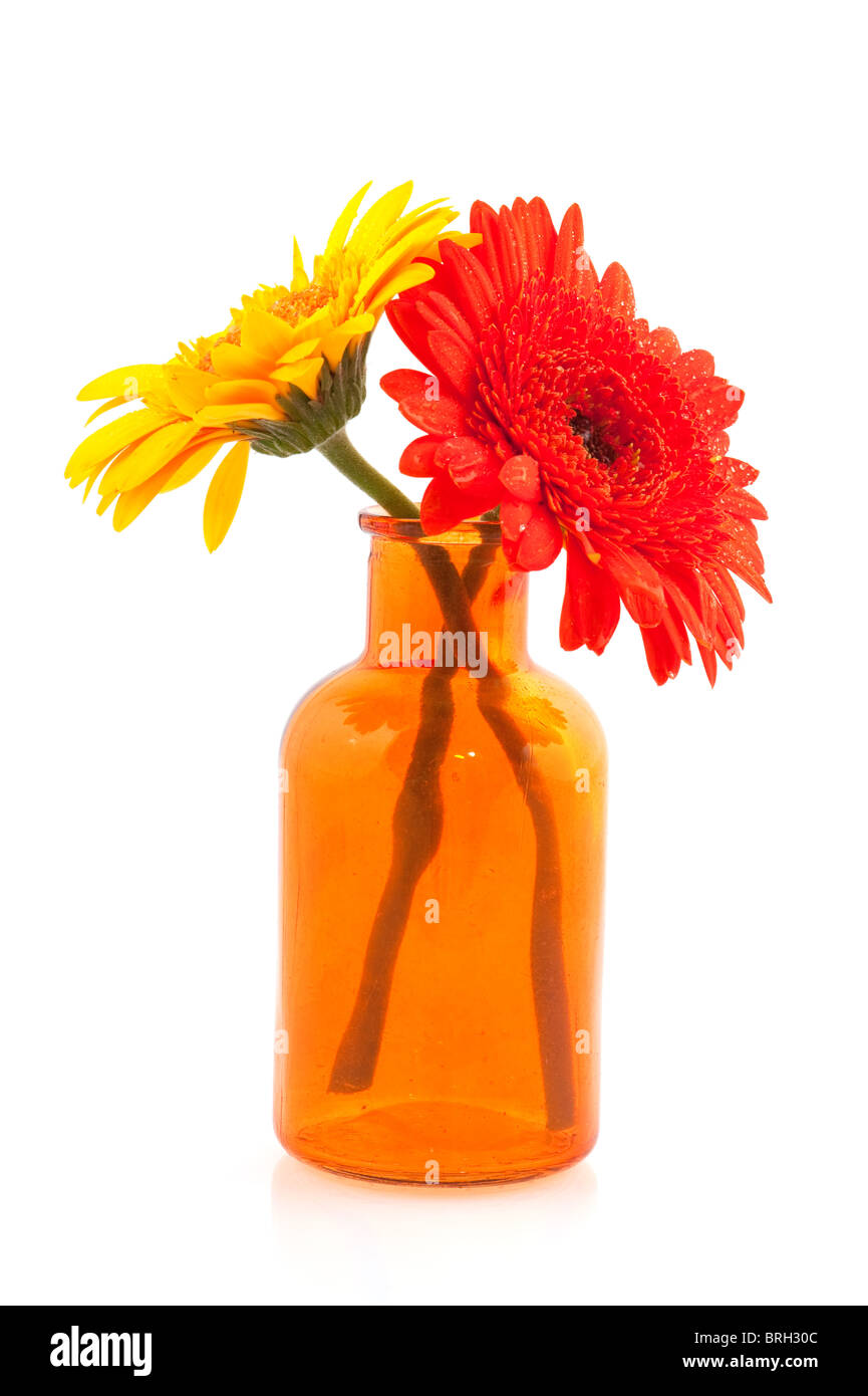 Orange et jaune fleur Gerber en vase en verre Banque D'Images