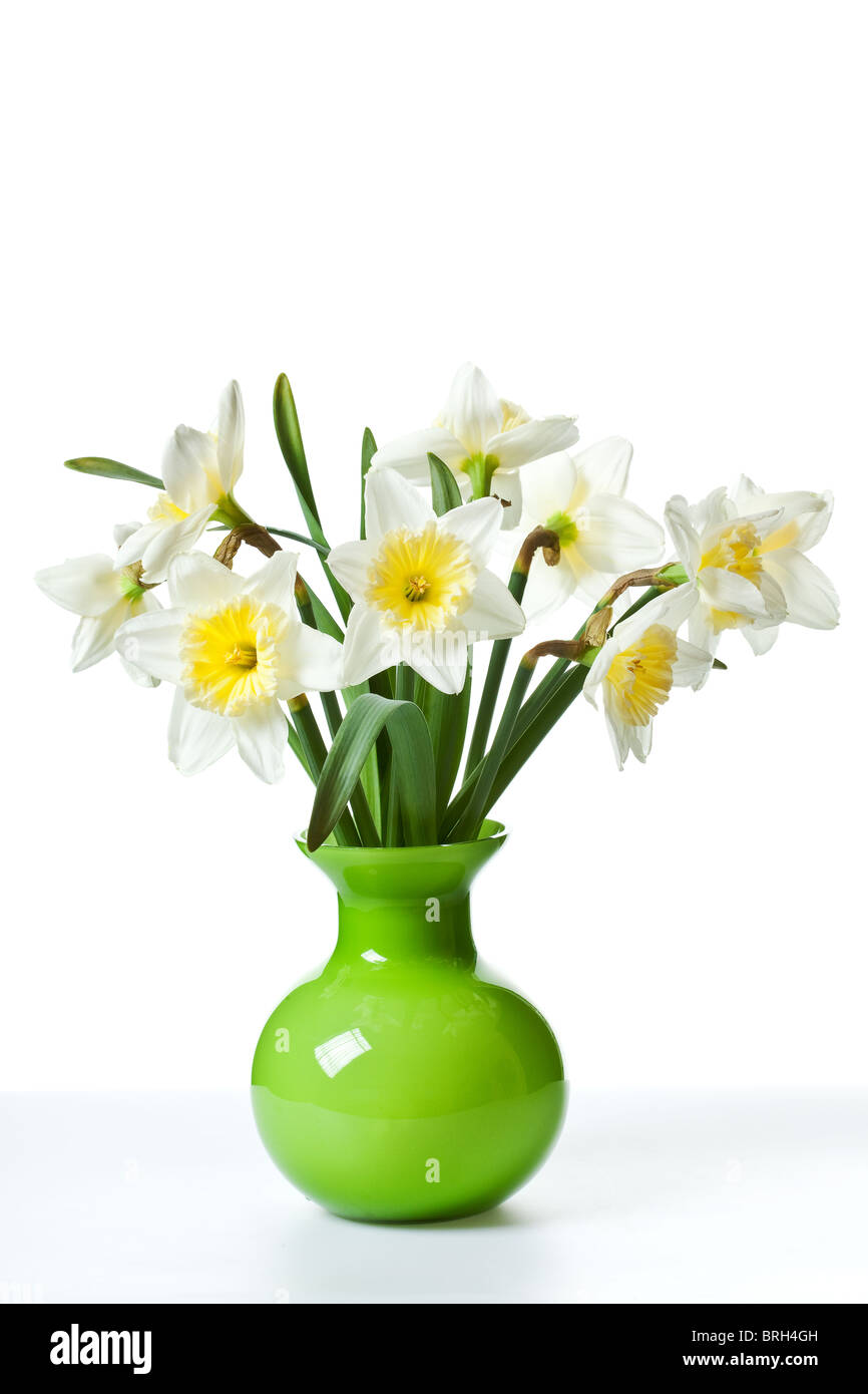 Blanc de printemps Bouquet Fleur jonquille isolé sur fond blanc Banque D'Images
