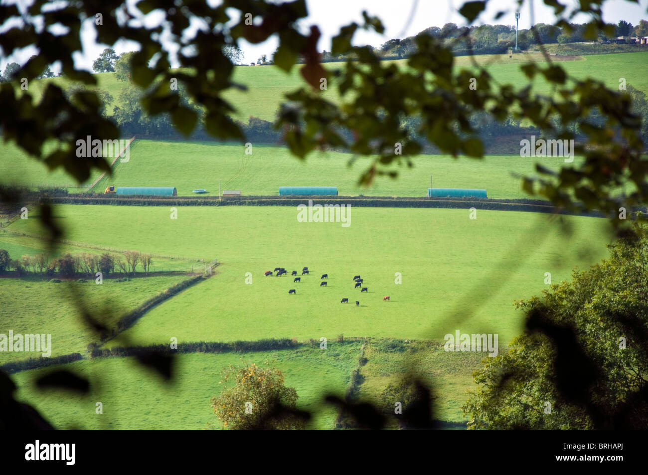 Woolley Valley tourné de Swainswick controversée montrant les bâtiments hangar de poulet Banque D'Images