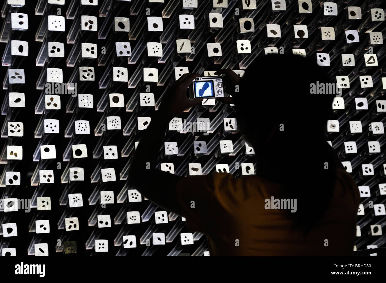 Shanghai World Expo 2010, la Chine. Intérieur du pavillon britannique design par Thomas Heatherwick. Détail de la cathédrale de graines tiges de lumière Banque D'Images