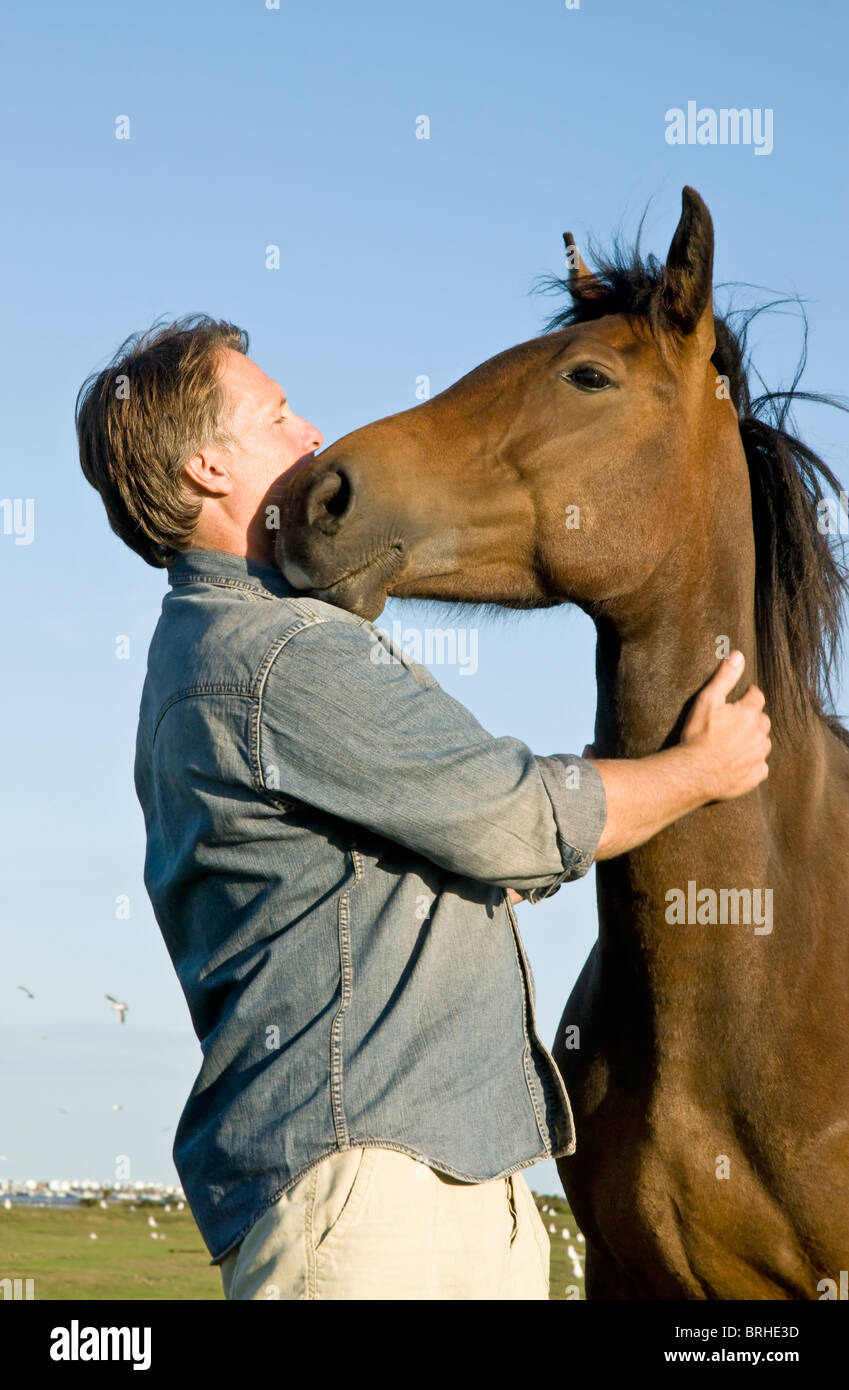 Un portrait d'un bel homme de flatter ses chevaux. Banque D'Images