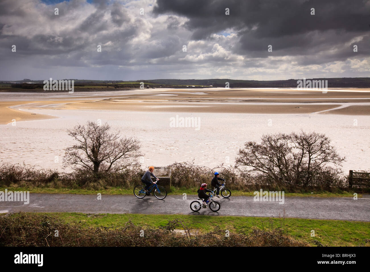 Les cyclistes sur le Tarka Trail National Cycle Route 27 à Braunton avec une vue sur la rivière Taw, North Devon, UK Banque D'Images