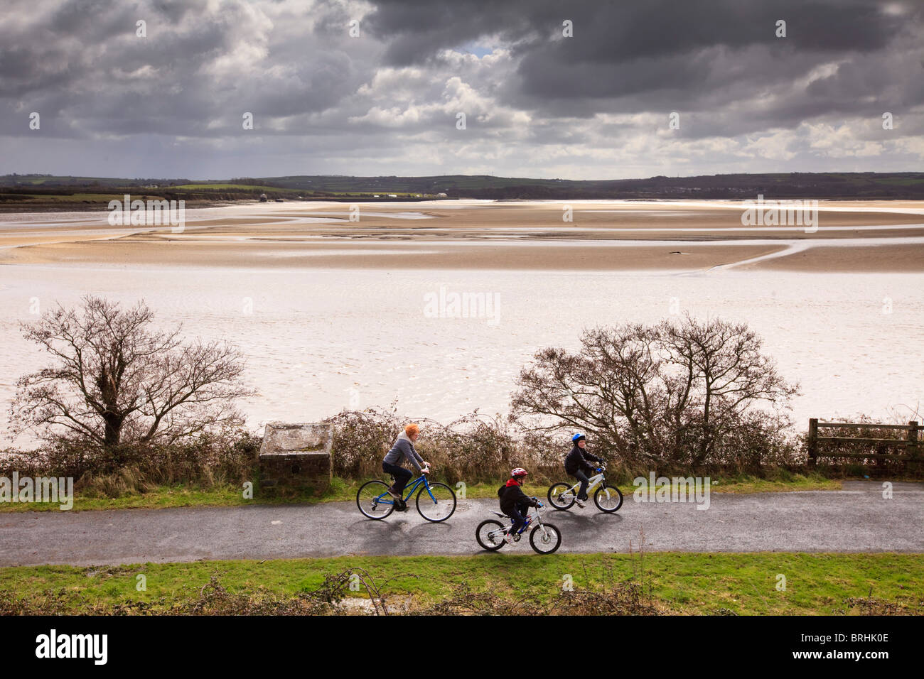 Les cyclistes sur le Tarka Trail National Cycle Route 27 à Ilfracombe, Devon, UK Banque D'Images