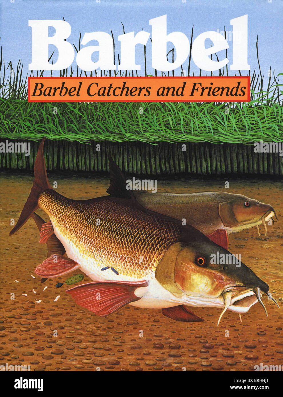 Couverture du livre par barbillon barbillon Catchers et amis publié 1988 par le Crowood Press Banque D'Images