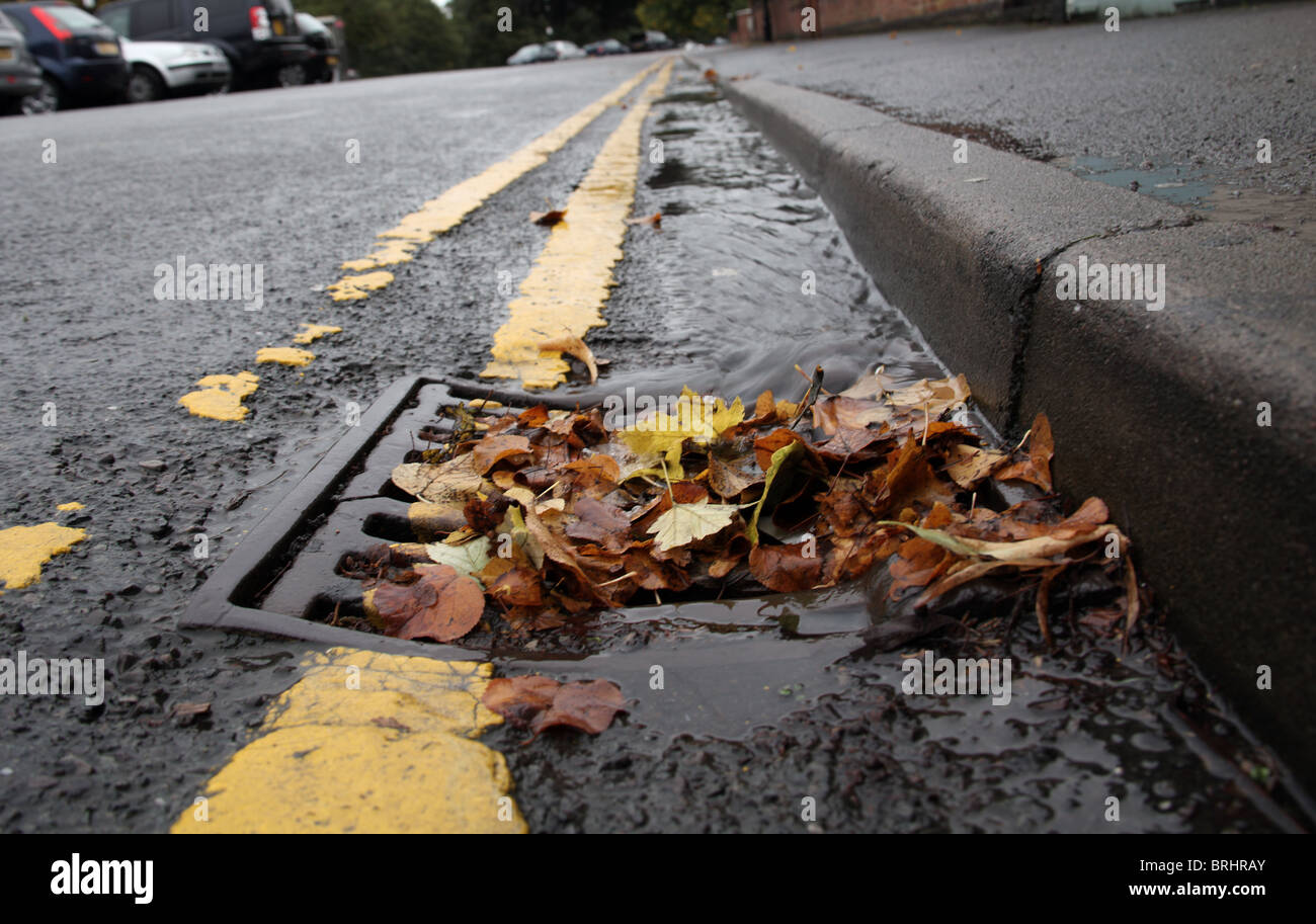 Vidanger bloqué par les feuilles d'automne après la pluie Banque D'Images