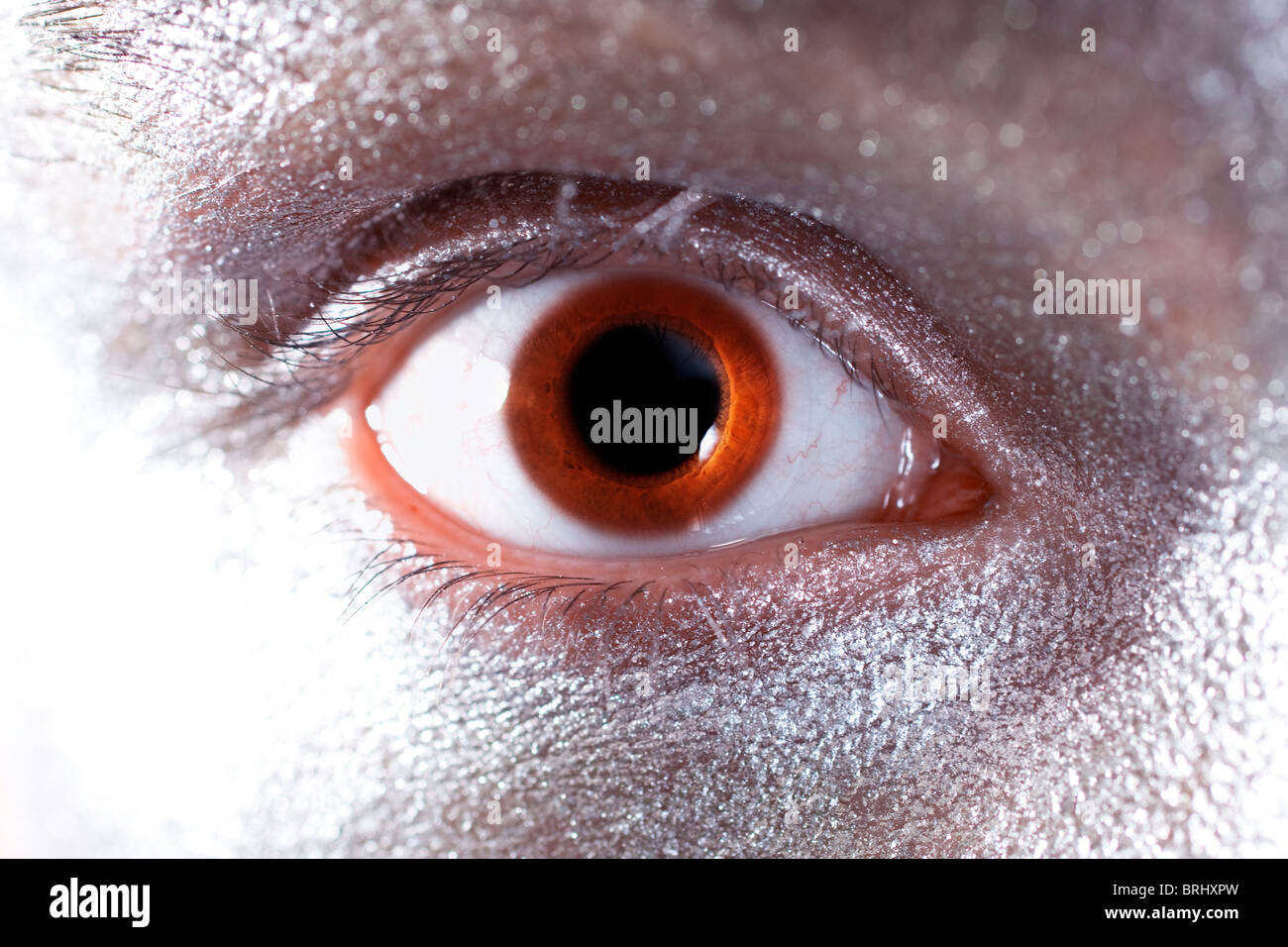 Homme brun les yeux avec de gros plan pupille dilatée Banque D'Images