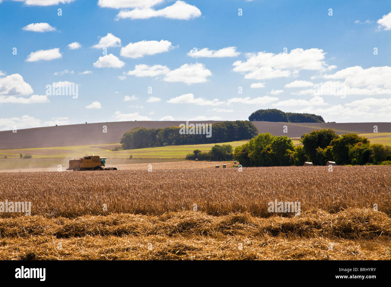 La fenaison dans les champs à proximité de Roundway Down, Wiltshire, England, UK Banque D'Images