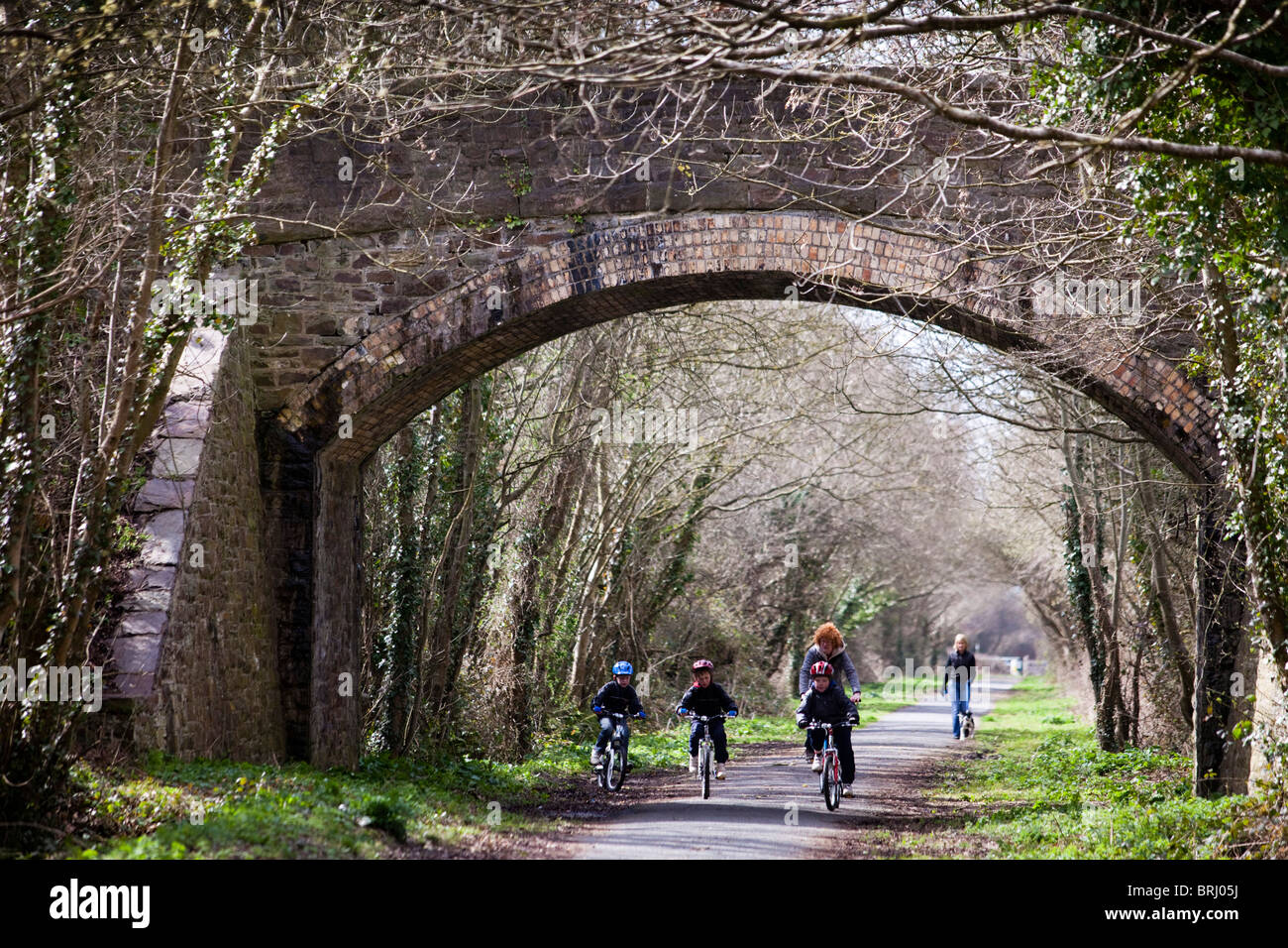 Les cyclistes sur le Tarka Trail National Cycle Route 27 à Ilfracombe, Devon, UK Banque D'Images