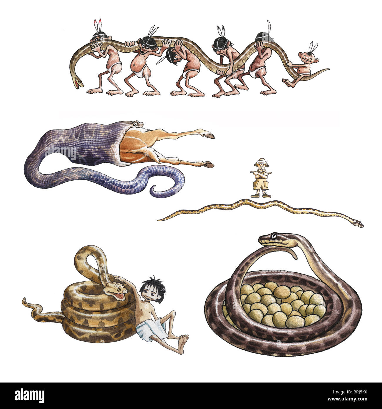 Long et gros serpents du monde Banque D'Images