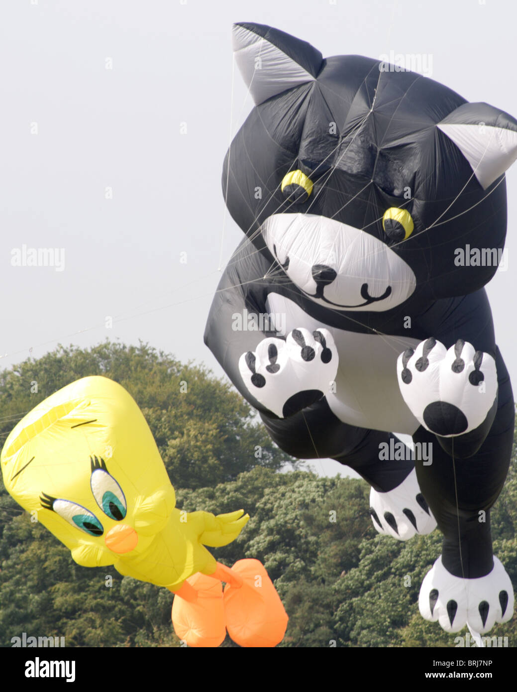 Kites et air creations Bristol Festival 2005 Banque D'Images