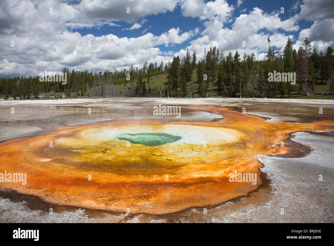 Geyser Yellowstone Banque D'Images