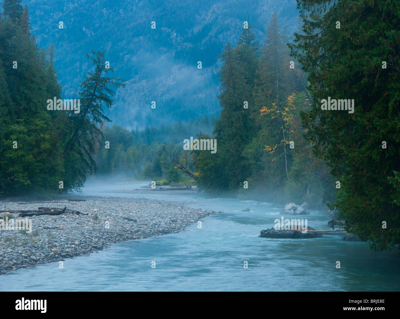 Stehekin River avec matin brouillard, Lake Chelan National Recreation Area, Cascade Mountains, Washington. Banque D'Images