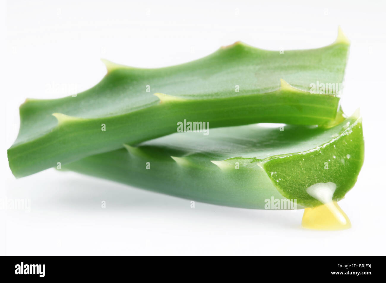 Morceaux de l'aloe vera. Isolé sur un fond blanc. Banque D'Images