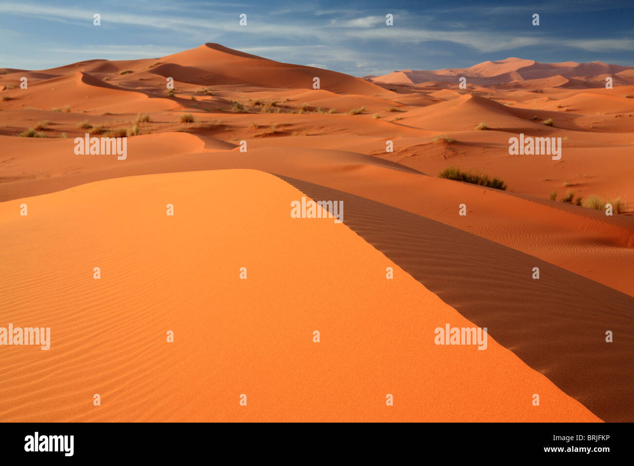 Lumière du matin rend l'éclat des sables bitumineux dans les dunes de l'Erg Chebbi près de Merzouga au Maroc Banque D'Images