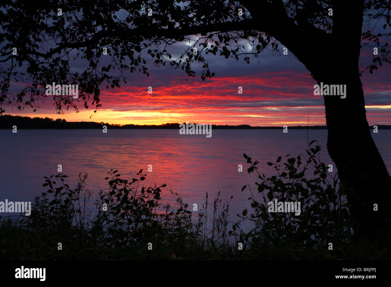 Coucher du soleil à Saadjärve lake, de l'Estonie, de l'Europe. Banque D'Images