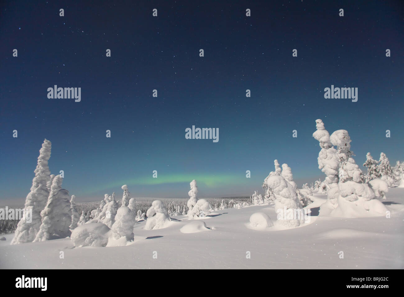 Aurore boréale au paysage de neige dans le Parc National de Riisitunturi la nuit, Finlande Banque D'Images