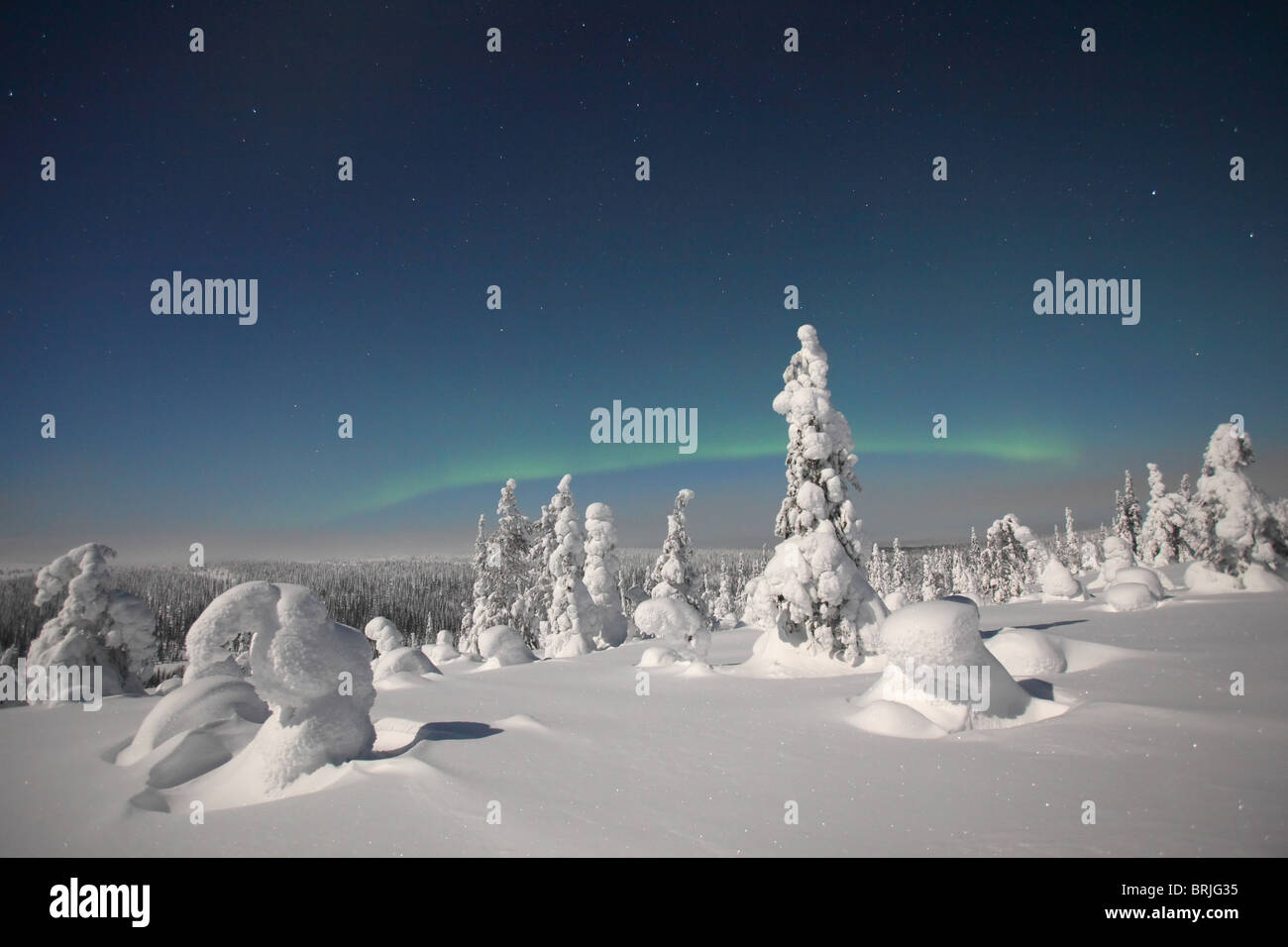 Aurore boréale au paysage de neige dans le Parc National de Riisitunturi la nuit, Finlande Banque D'Images