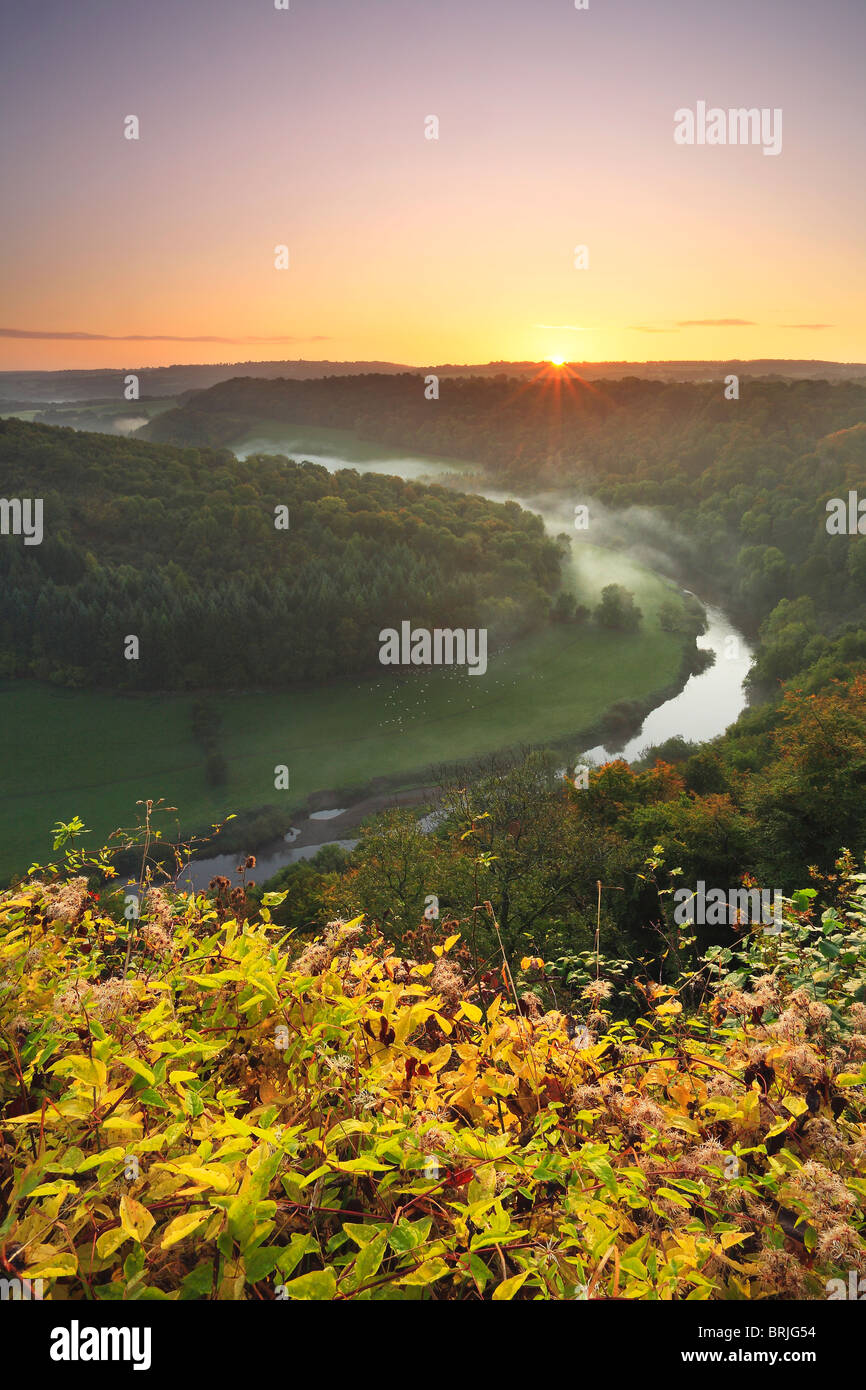 Un matin d'automne brumeux sur la rivière Wye vus de Symond's Yat dans Gloucestershire Banque D'Images