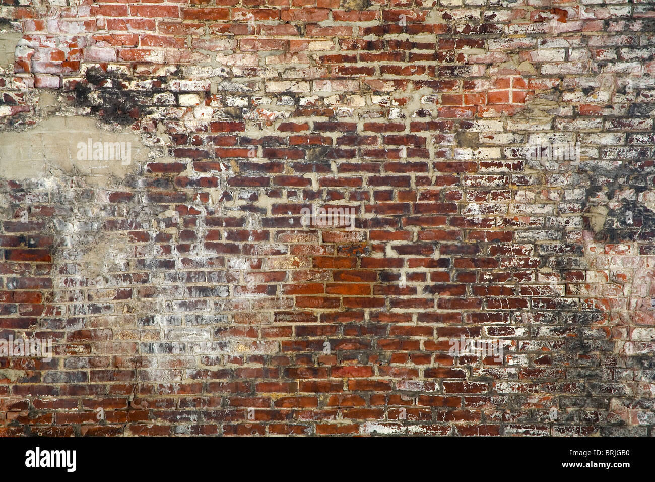 Mur de briques Banque D'Images