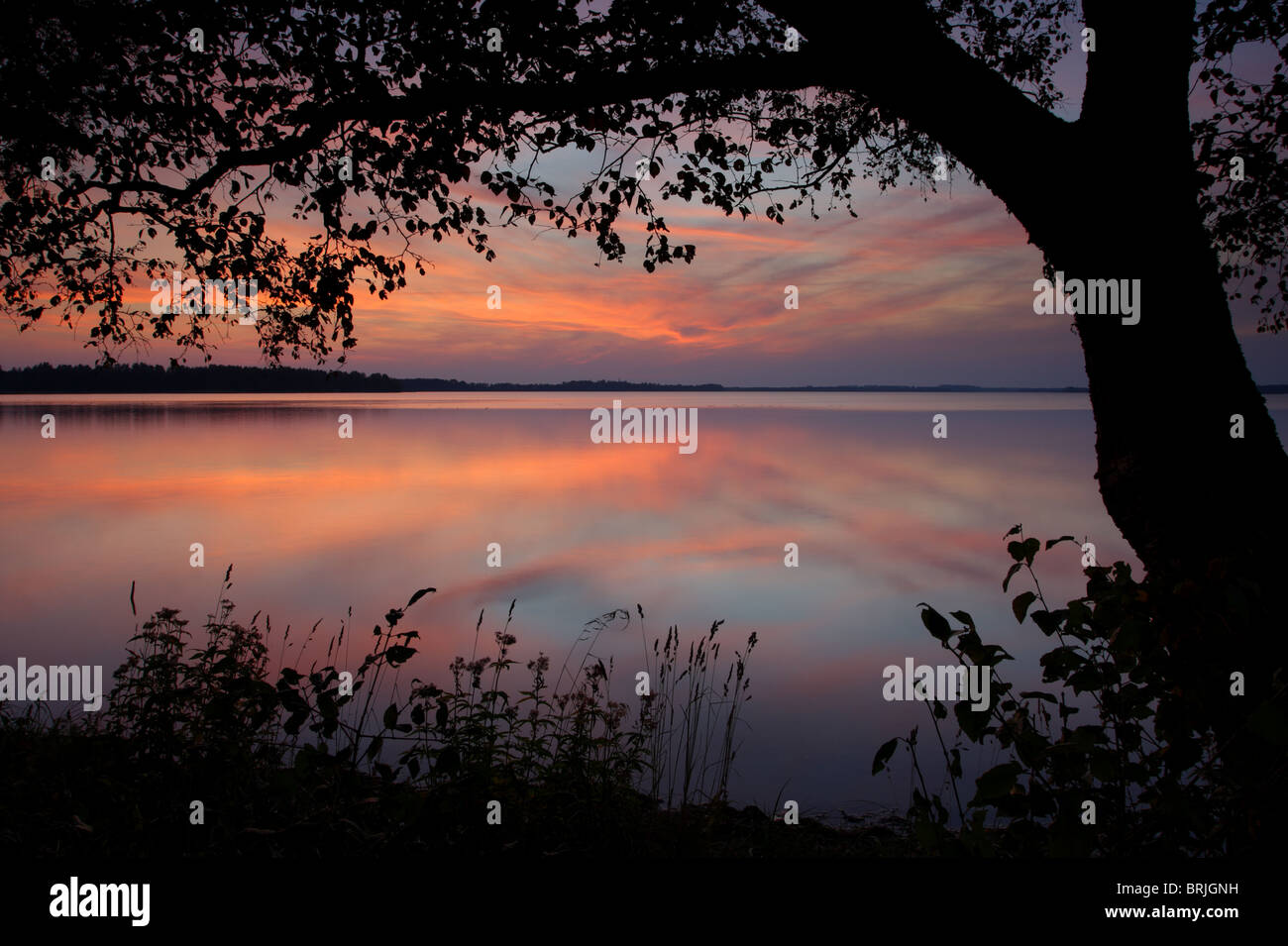 Coucher du soleil à Saadjärve lake, de l'Estonie, de l'Europe. Banque D'Images