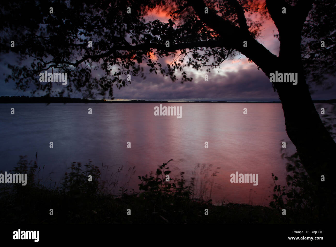 Coucher du soleil à Saadjärve lake, de l'Estonie, de l'Europe. Banque D'Images