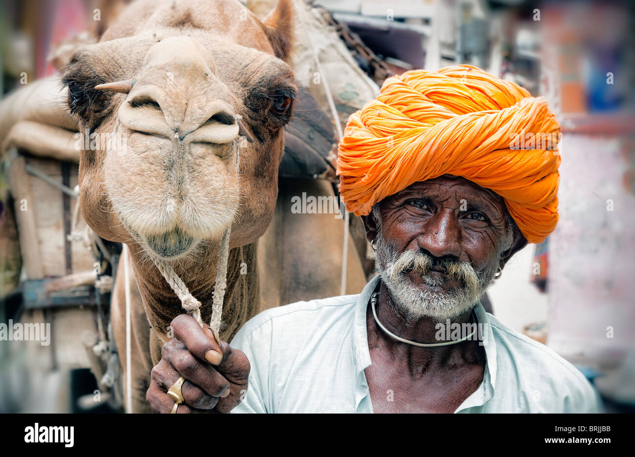 Un Sikh chamelier dans le Rajasthan en Inde Banque D'Images