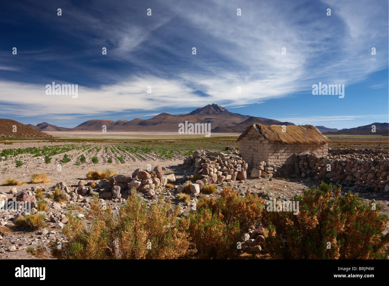 Vulcan Tapan & un campesino's house sur l'Altiplano, Bolivie Banque D'Images