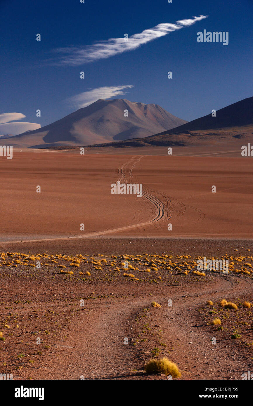 La voie de l'Ojo de Perdiz, haut sur l'Altiplano, Bolivie Banque D'Images