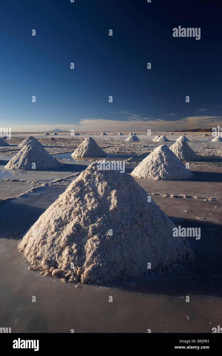 Des tas de sel sur le Salar de Uyini au crépuscule, Bolivie Banque D'Images