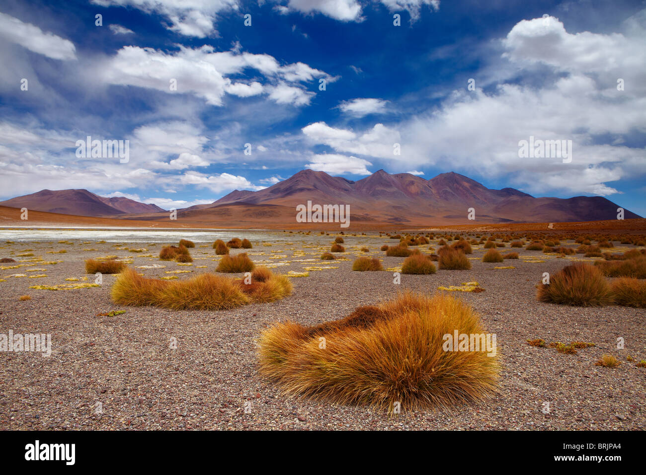 La région reculée de high desert, et les volcans de l'altiplano bolivien, près de Tapaquilcha Banque D'Images