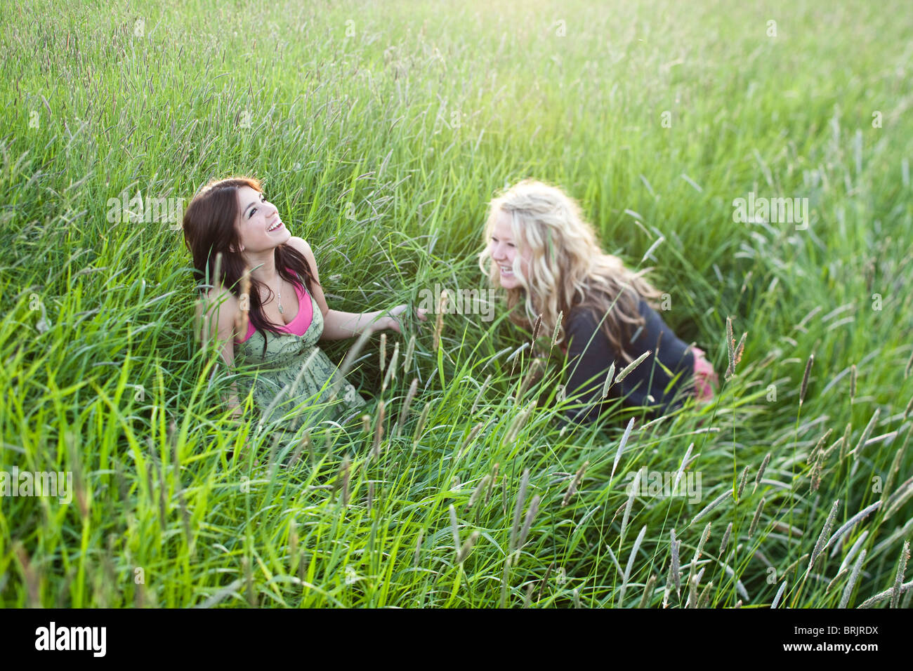 Les filles s'asseoir dans un champ d'herbe à Sandpoint, Idaho. Banque D'Images