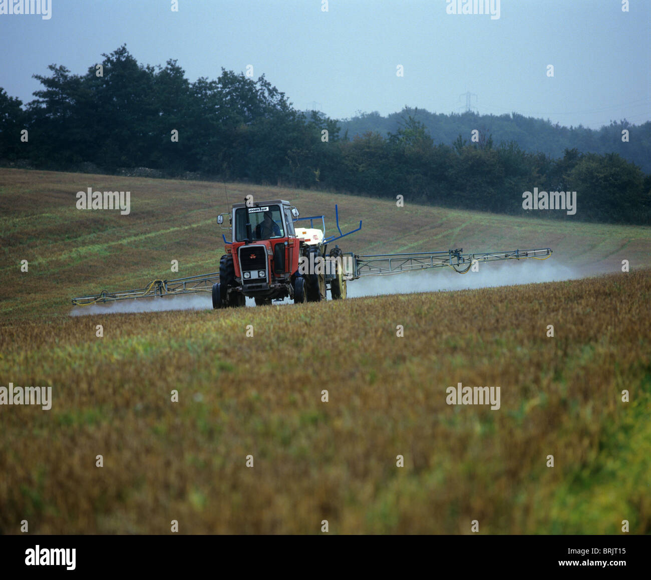 Le tracteur et le pulvérisateur d'herbicide de pulvérisation sur les mauvaises herbes annuelles dans le chaume avant plantation Banque D'Images