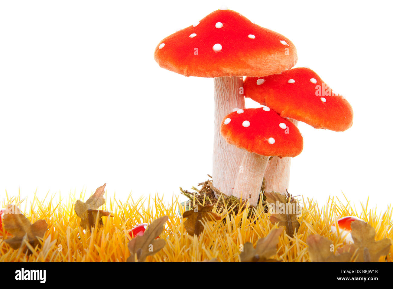 Scène d'automne herbe withyellow et champignons sur fond blanc Banque D'Images