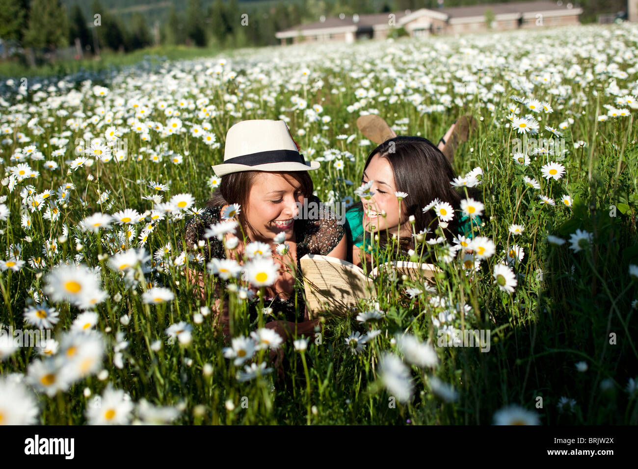 Deux jeunes femmes sourire en lisant un livre dans un champ de fleurs sauvages. Banque D'Images