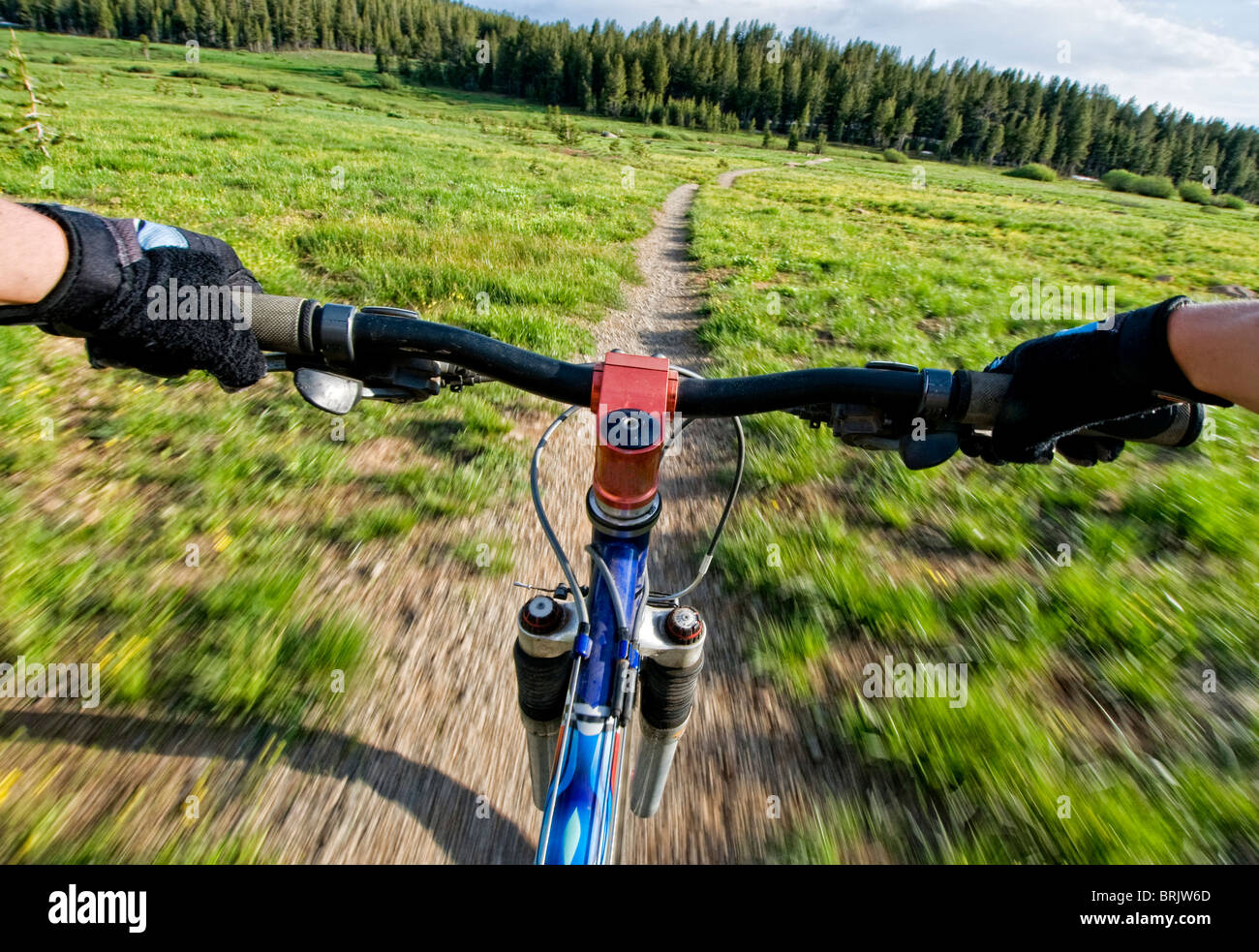 Une jeune femme prend un tour de vélo de montagne rapide avant que le soleil se couche dans le lac Tahoe, Nevada. Banque D'Images