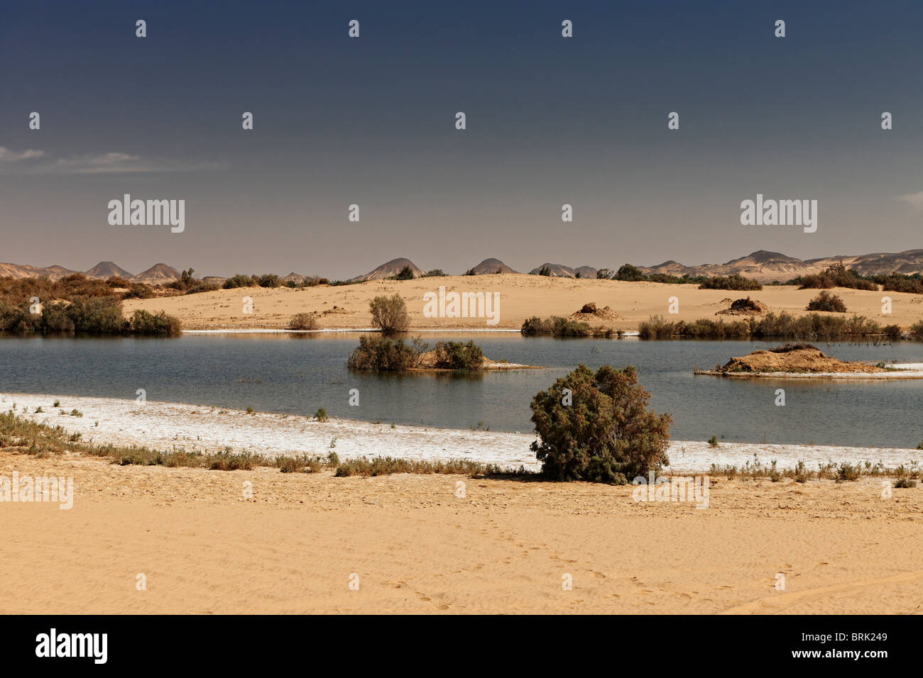 Salt Lake près de Oasis Bahariya, désert de l'ouest, l'Egypte, l'Afrique Banque D'Images