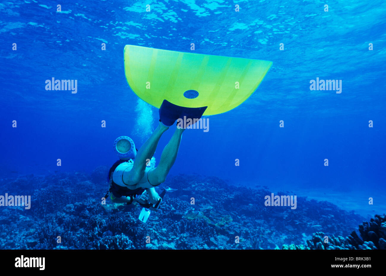 Un plongeur avec un monofin et caméra explore un récif tropical Banque D'Images