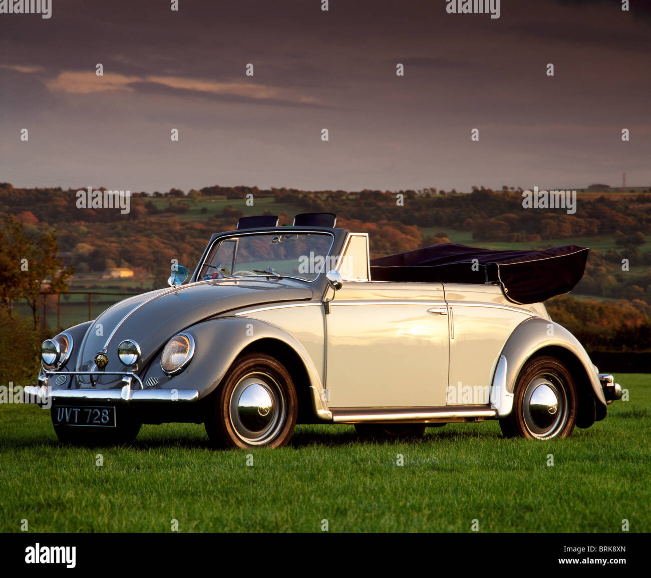 1954 Volkswagen New Beetle Cabriolet en campagne Banque D'Images