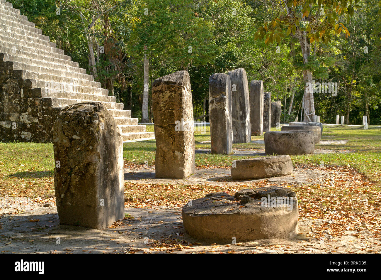 Rangée de pierres autel en face d'un temple maya contemporain,le parc national de Tikal, Peten au Guatemala ; Site du patrimoine mondial de l'UNESCO Banque D'Images