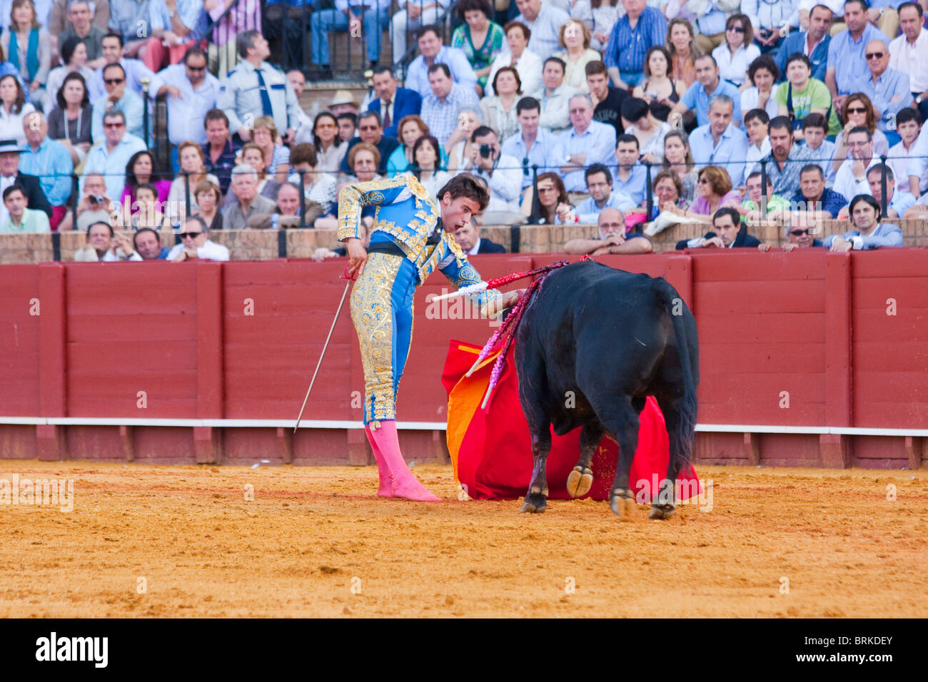 Scène tauromachiques en Sevilla, Espagne Banque D'Images