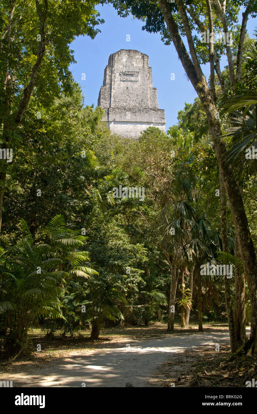 Temple III se dressant au dessus de la jungle à la pre-Columbian site maya de Tikal El Petén, Guatemala Parc National Banque D'Images