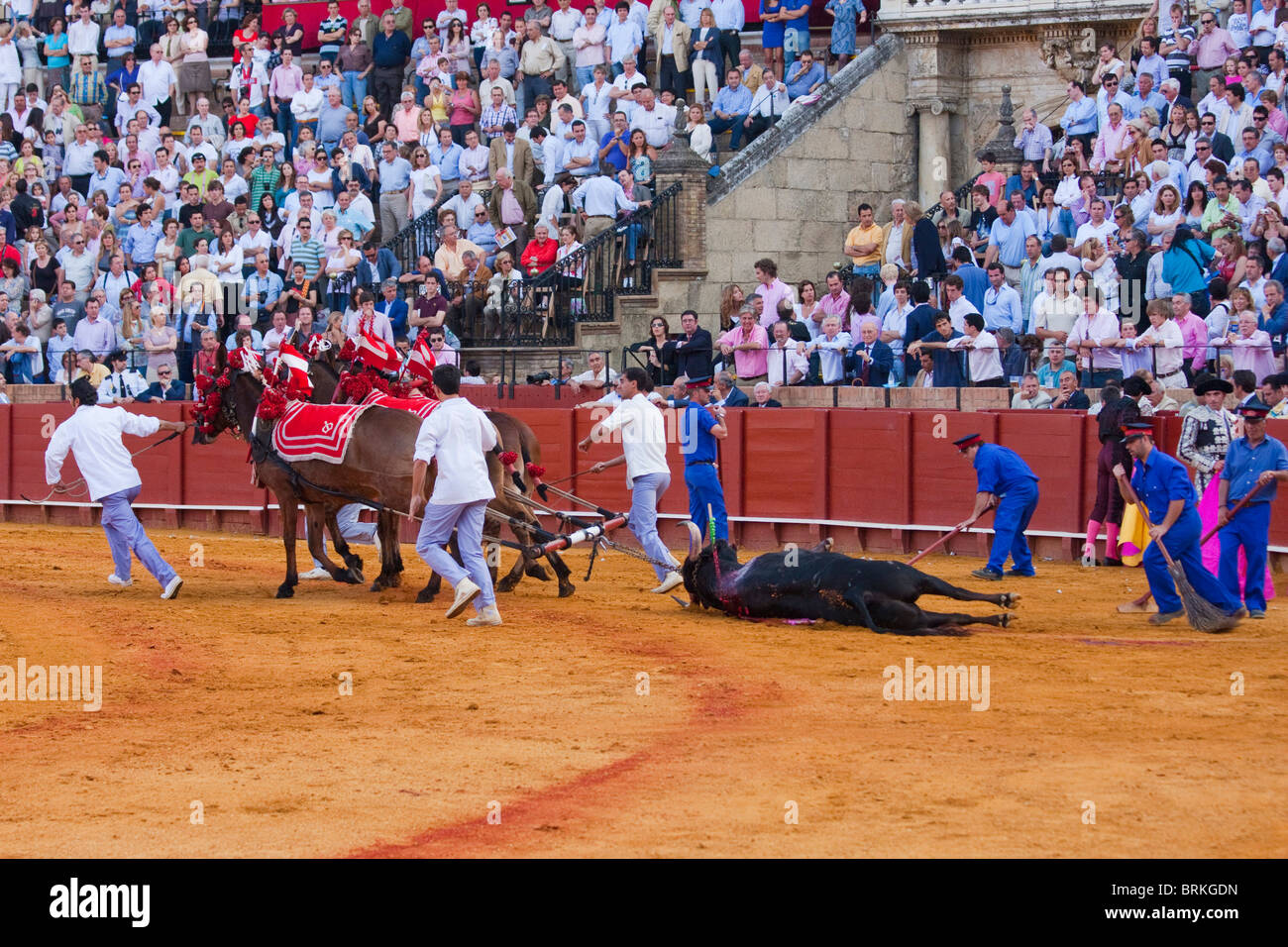 Scène tauromachiques en Sevilla, Espagne Banque D'Images