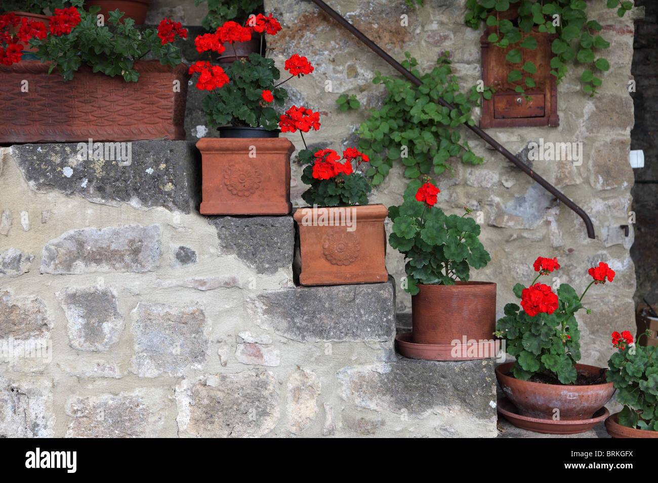 Géraniums en pots sur les mesures de la maison, Pienza, Toscane, Italie Banque D'Images