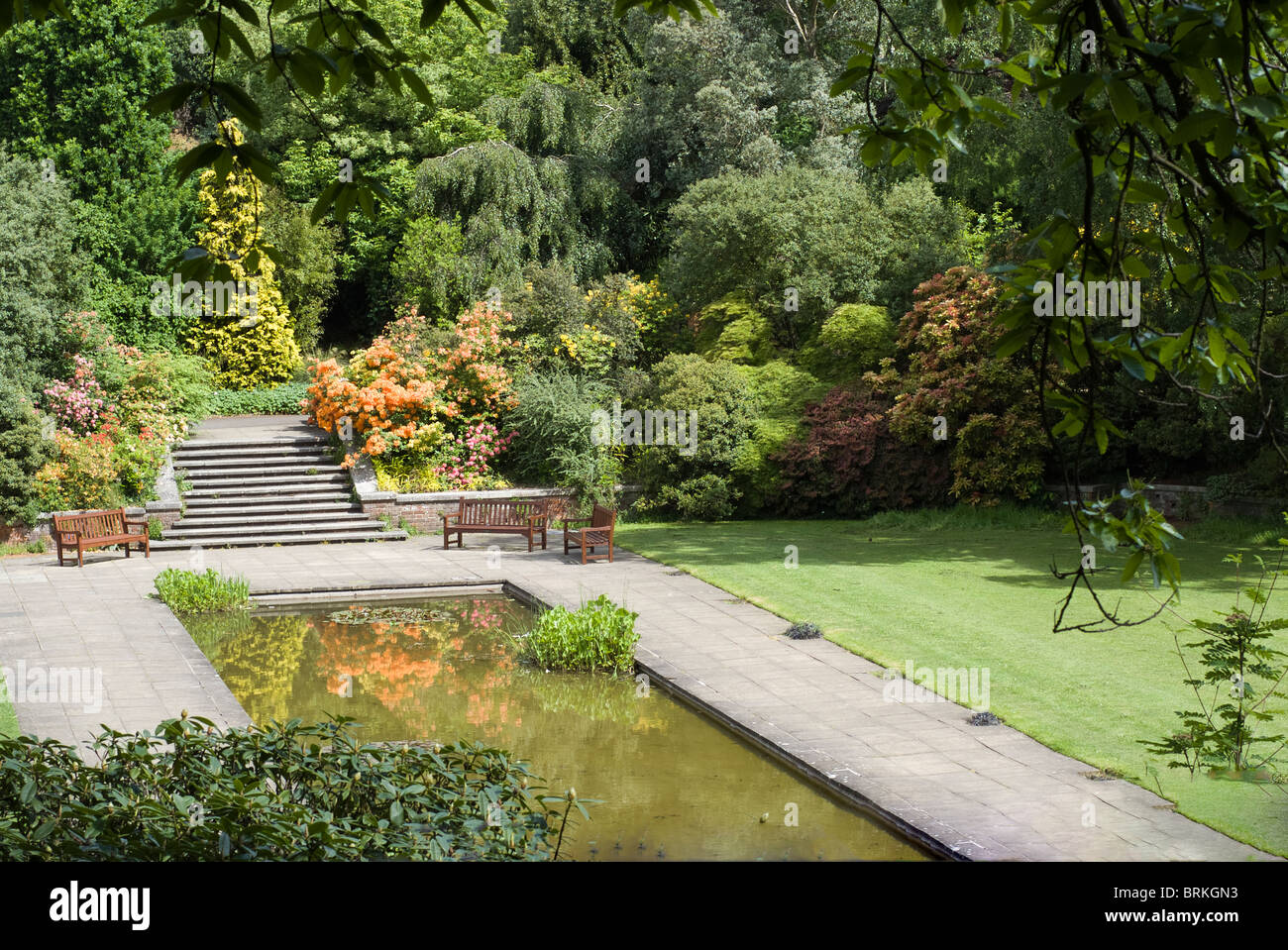 Le jardin de la colline, Hampstead Heath Londres - montrant lily pond Banque D'Images